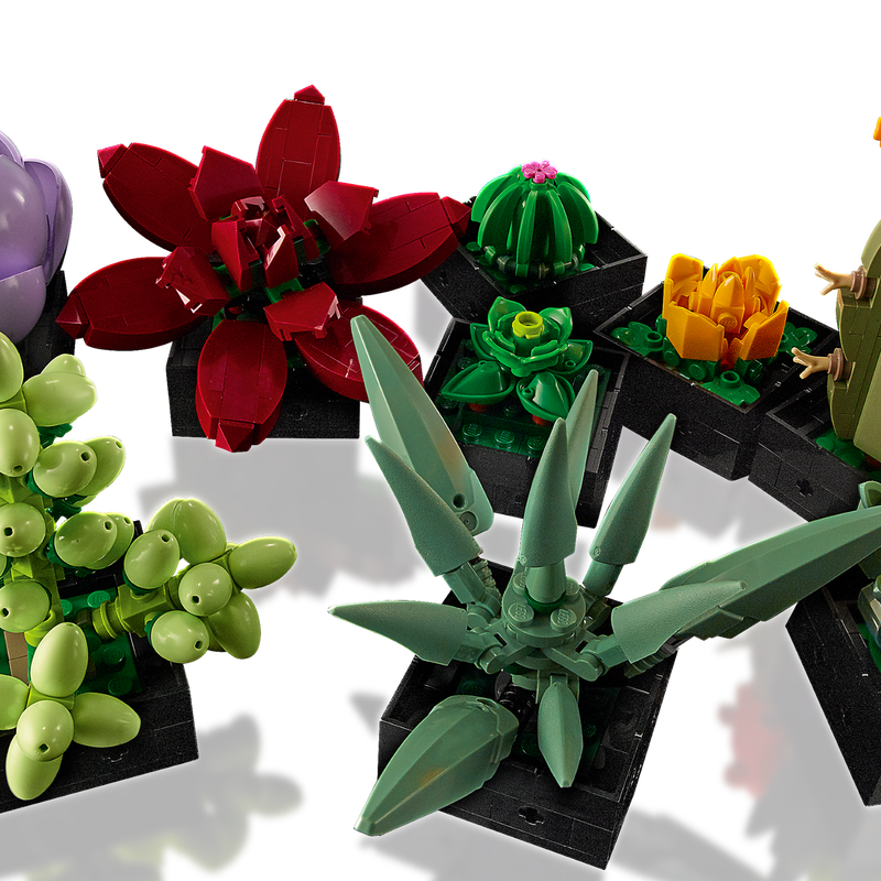 ১০৩০৯ সুকুলেন্টস