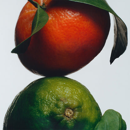 LIME BASIL &amp; MANDARIN DIFFUSER DIFFUSER by JO MALONE at Sundora