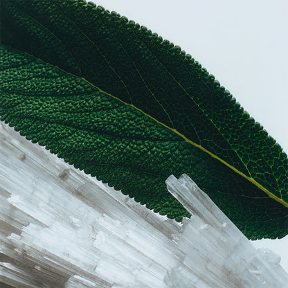 WOOD SAGE &amp; SEA SALT BODY CREME BODY CREAM by JO MALONE at Sundora