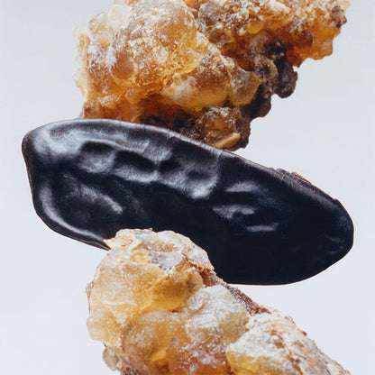 MYRRH &amp; TONKA COLOGNE INTENSE PERFUME by JO MALONE at Sundora