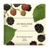 BLACKBERRY & BAY SOAP SOAP BAR by JO MALONE at Sundora
