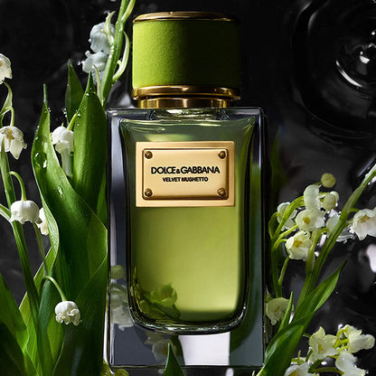 VELVET MUGHETTO EAU DE PARFUM PERFUME by DOLCE &amp; GABBANA at Sundora