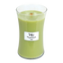 FERN CANDLE CANDLE by WOODWICK at Sundora