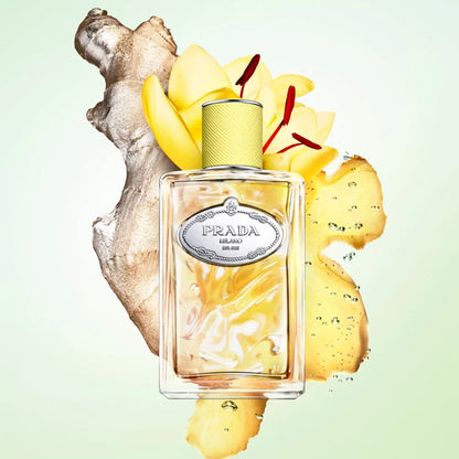 INFUSION DE GINGEMBRE EDP PERFUME by PRADA at Sundora