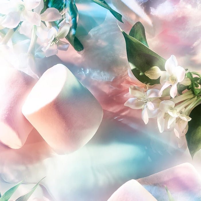 RECKLESS POUR FEMME PERFUME by ROJA PARFUMS at Sundora