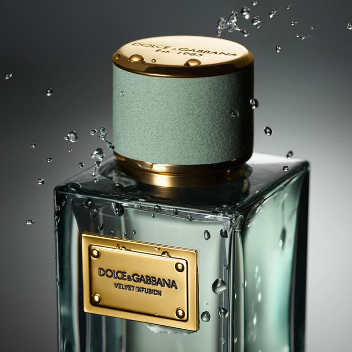 VELVET INFUSION EAU DE PARFUM PERFUME by DOLCE &amp; GABBANA at Sundora