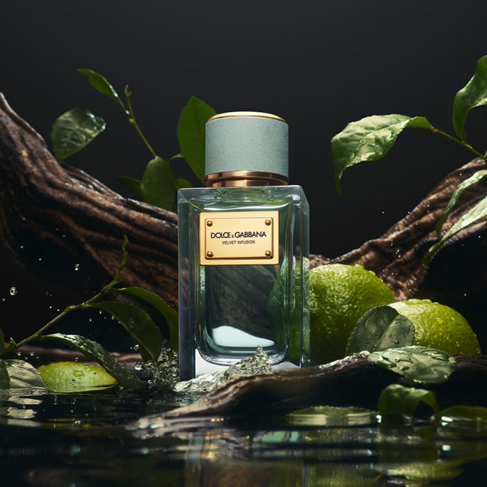 VELVET INFUSION EAU DE PARFUM PERFUME by DOLCE &amp; GABBANA at Sundora