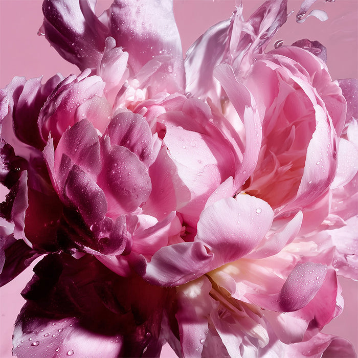 Flowerbomb Pretty Peony Eau de Parfum