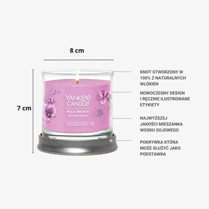 Wild Orchid