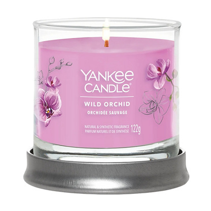 Wild Orchid