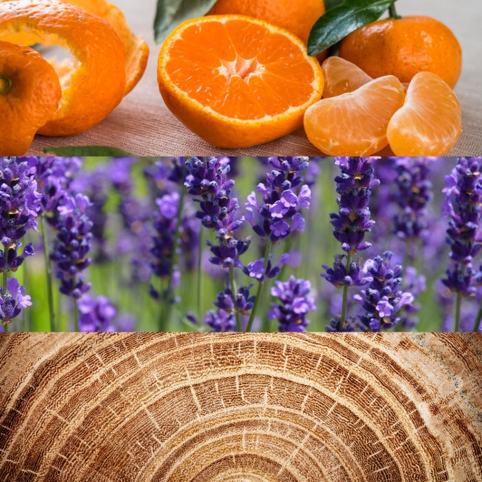 OBSESSION FOR MEN PERFUME by CALVIN KLEIN at Sundora