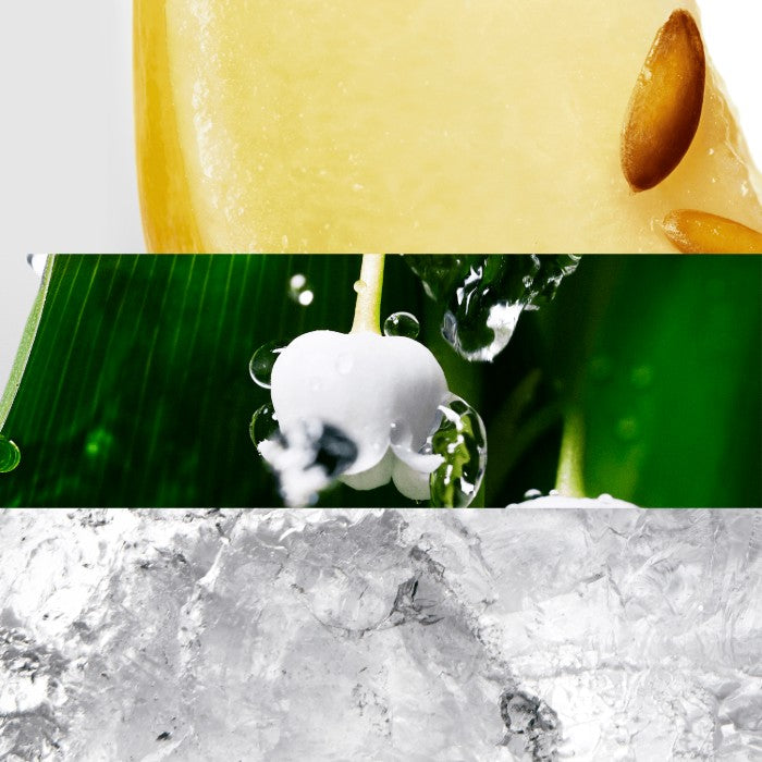 COOL WATER WOMEN EDT PERFUME by DAVIDOFF at Sundora