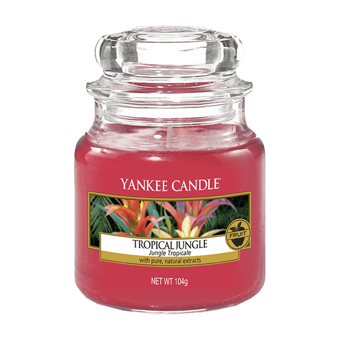 TROPICAL JUNGLE CLASSIC JAR CANDLE by YANKEE CANDLE at Sundora