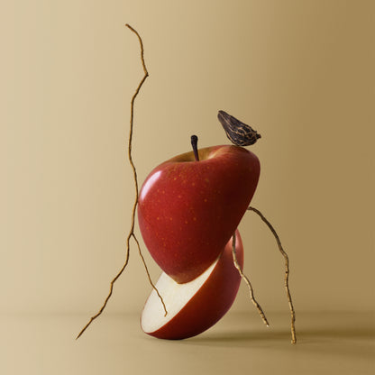 BOSS BOTTLED EDP PERFUME by HUGO BOSS at Sundora