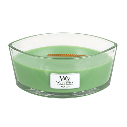PALM LEAF CANDLE CANDLE by WOODWICK at Sundora