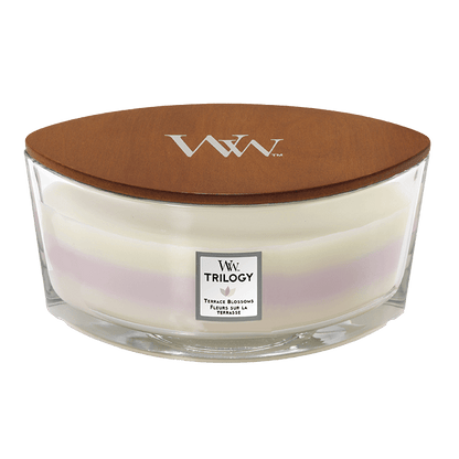 TERRACE BLOSSOMS CANDLE CANDLE by WOODWICK at Sundora