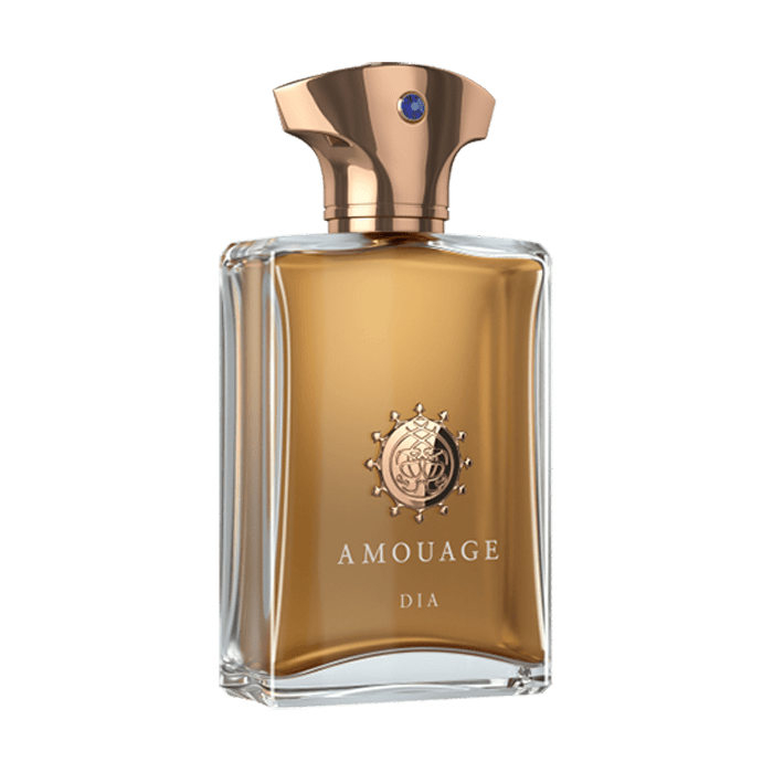 DIA MAN PERFUME by AMOUAGE at Sundora