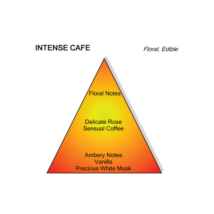 INTENSE CAFE PERFUME by MONTALE at Sundora