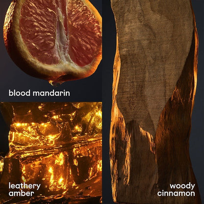 1 MILLION DEODORANT STICK DEODORANT by RABANNE at Sundora