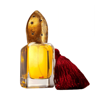 OSANG PERFUME by MENDITTOROSA at Sundora