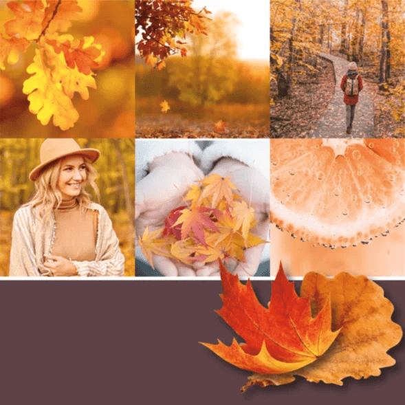 AUTUMN GLOW CLASSIC JAR CANDLE by YANKEE CANDLE at Sundora