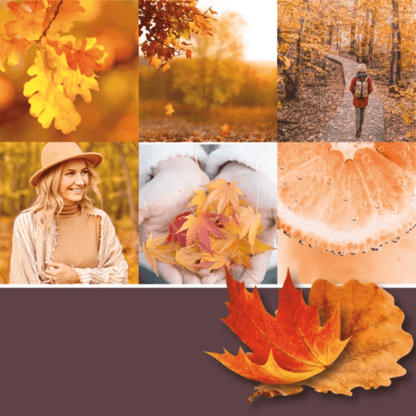 AUTUMN GLOW CLASSIC JAR CANDLE by YANKEE CANDLE at Sundora