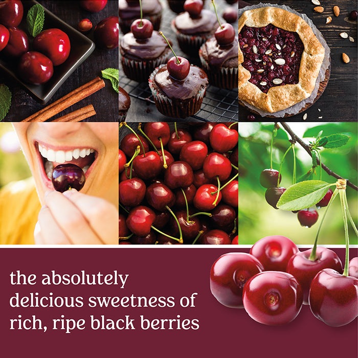 BLACK CHERRY CLASSIC JAR CANDLE by YANKEE CANDLE at Sundora