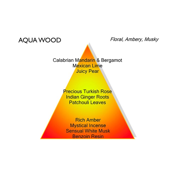 AQUA WOOD MEN PERFUME by MANCERA at Sundora