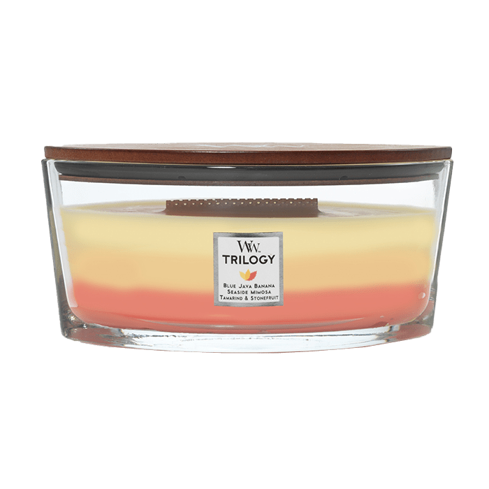 TROPICAL SUNRISE CANDLE CANDLE by WOODWICK at Sundora