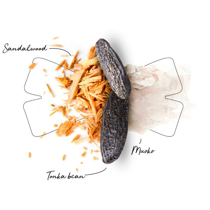 MADEMOISELLE ROCHAS COUTURE PERFUME by ROCHAS at Sundora